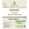 MANDORLE BIOLOGICHE SGUSCIATE GR. 1000